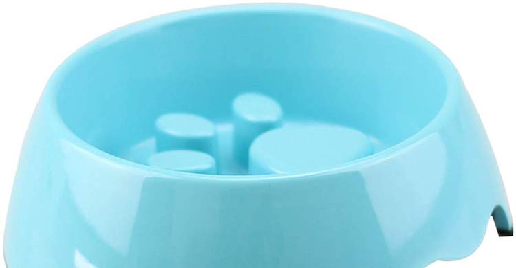 Este comedero tiene en el interior una huella en relieve (iStock).