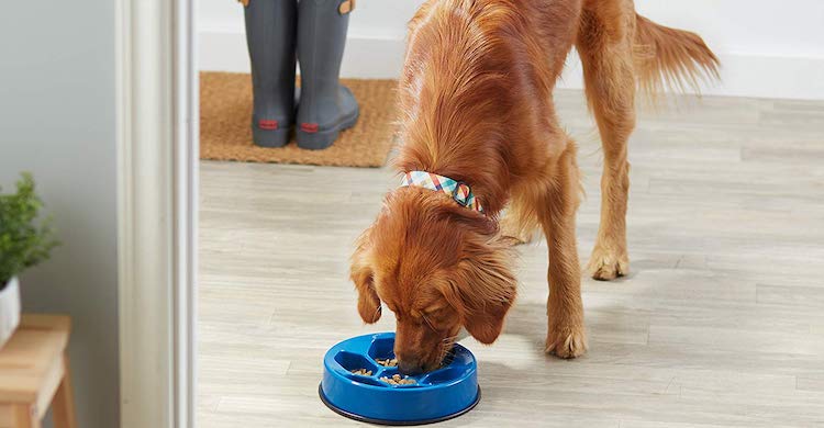 Con estos comederos se ralentiza la ingesta de alimentos (Amazon).