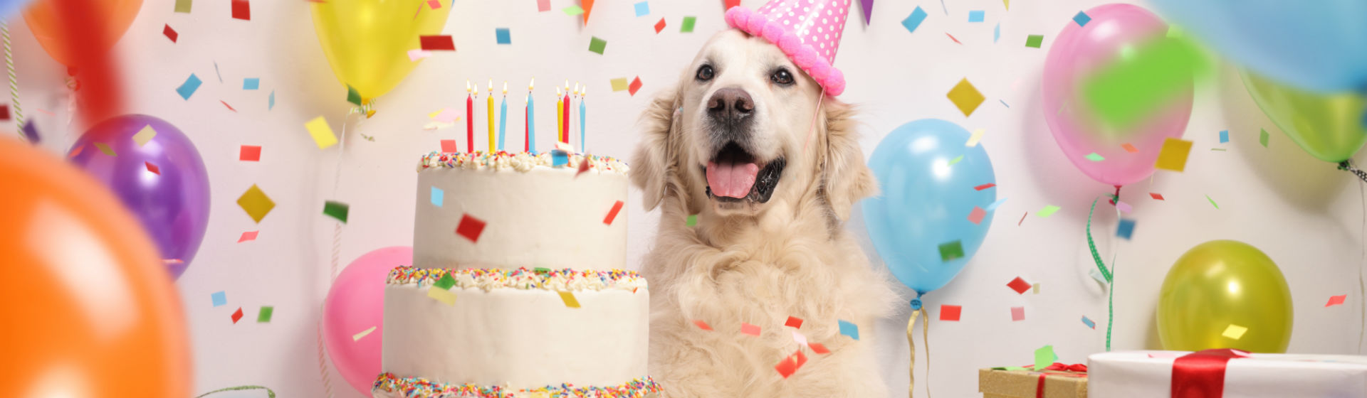 Ellos también merecen tener su propia tarta (Foto: iStock)