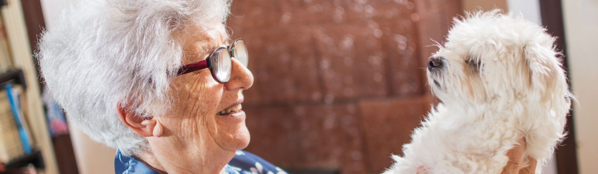 Los animales pueden ayudar mucho a las personas mayores (Foto: iStock)