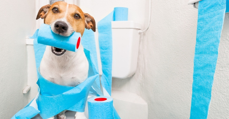 Tendrás que tener paciencia, no es un proceso rápido (Istock)