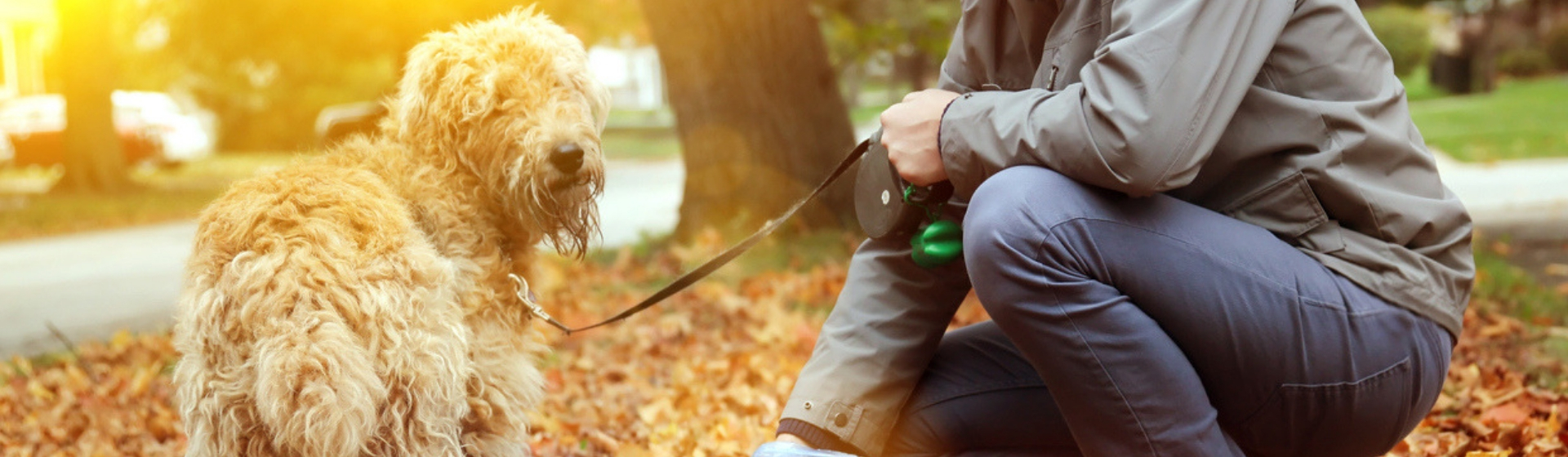 Ventajas de utilizar bolsas biodegradables (Istock)