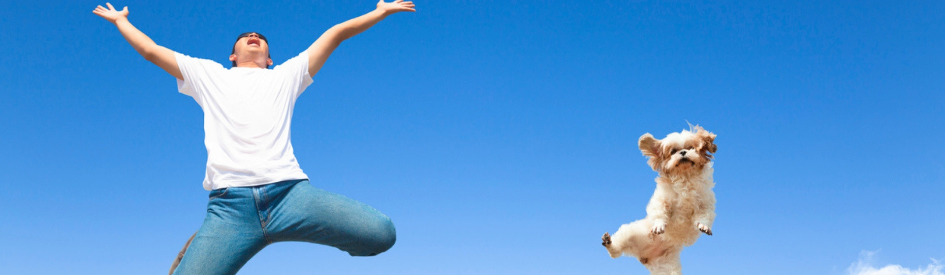 ¿Puede mi mascota ayudarme a alcanzar el éxito? (Istock)