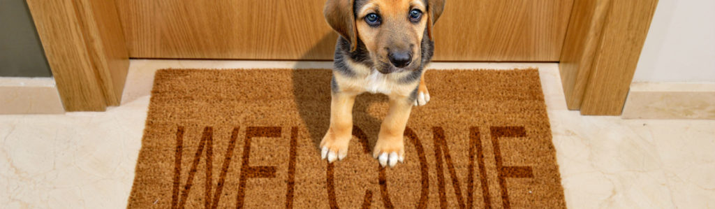 Los amantes de los animales necesitan un felpudo que les represente (Foto: iStock)