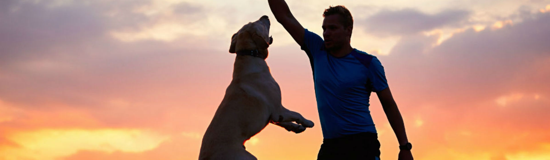 Hacer deporte con tu perro es un hobbie genial (Foto: iStock)
