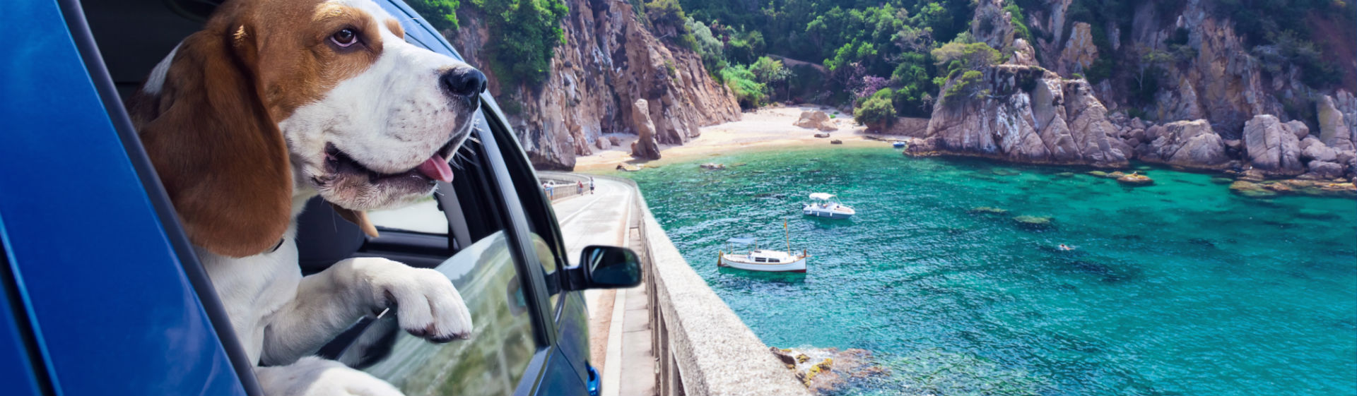 Los viajes en coche necesitan de accesorios especiales (Foto: iStock)