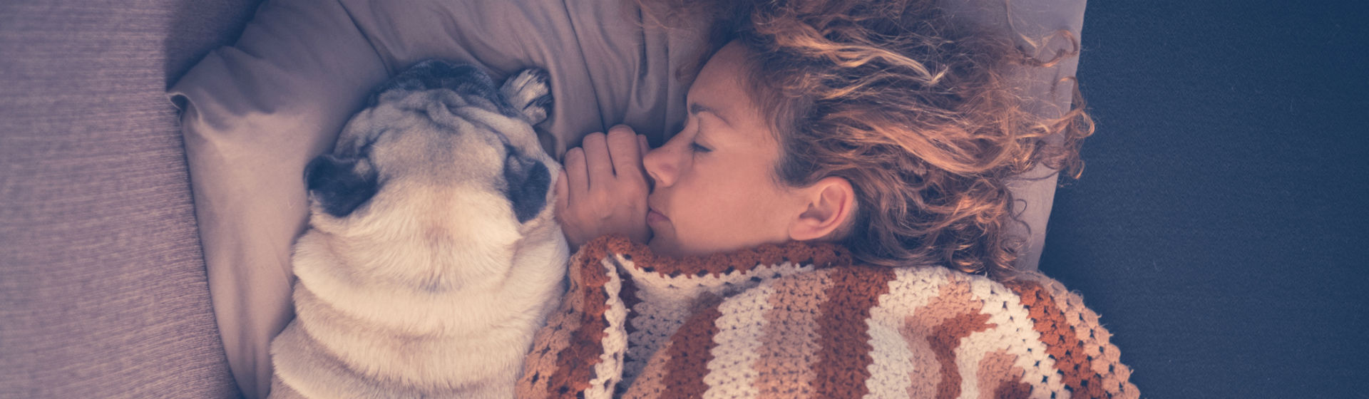 Soñar con animales puede tener muy diversos significados (Foto: iStock)