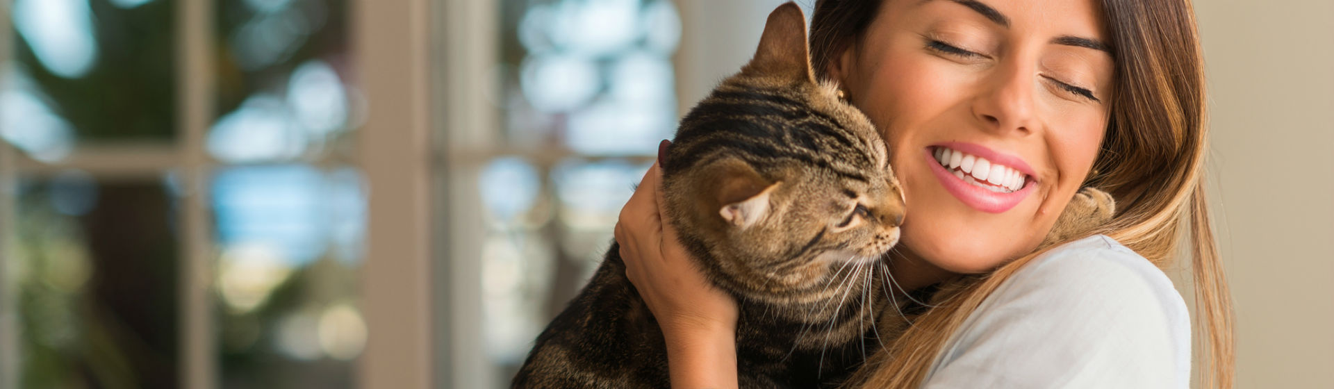 Si vas a tener un gato necesitas tener todo lo que requiere su cuidado (Foto: iStock)