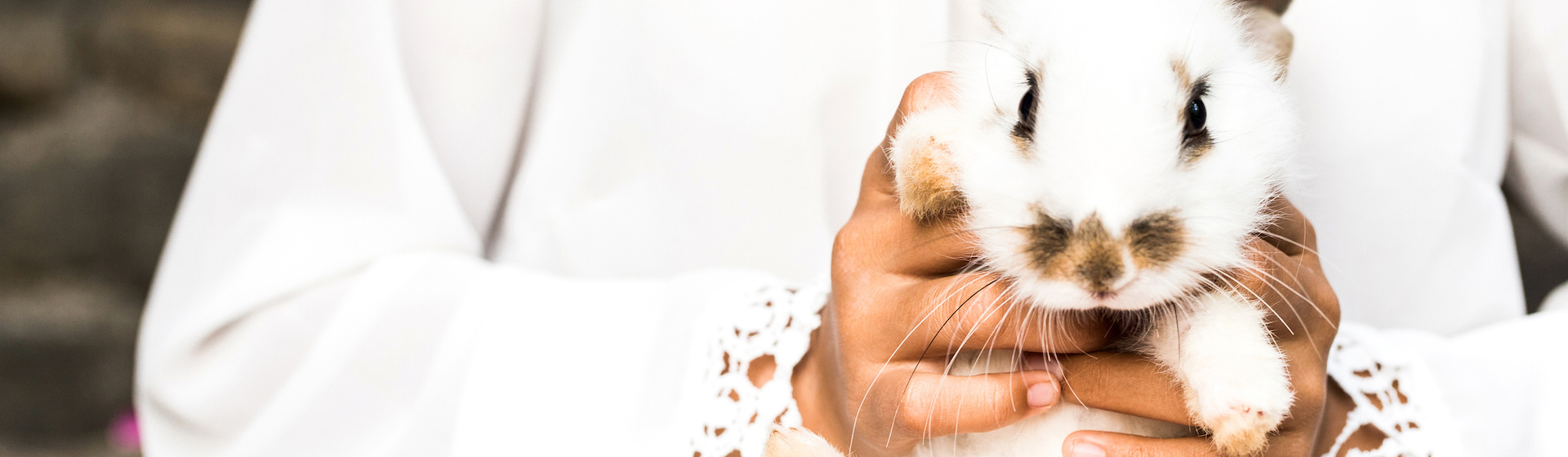 Los conejos están asociados a la fertilidad y a la prosperidad y bonanza (iStock).