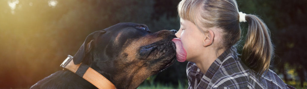Estas son las mascotas que reconocen su nombre cuando las llaman (Istock)