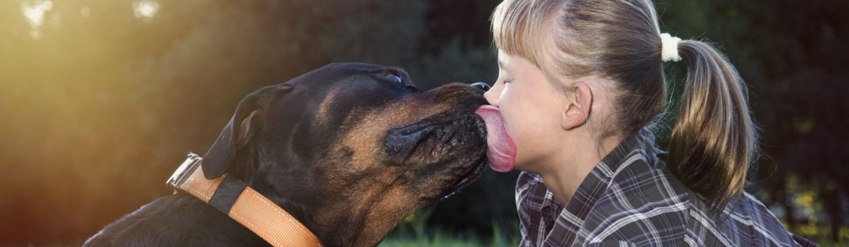 Estas son las mascotas que reconocen su nombre cuando las llaman (Istock)