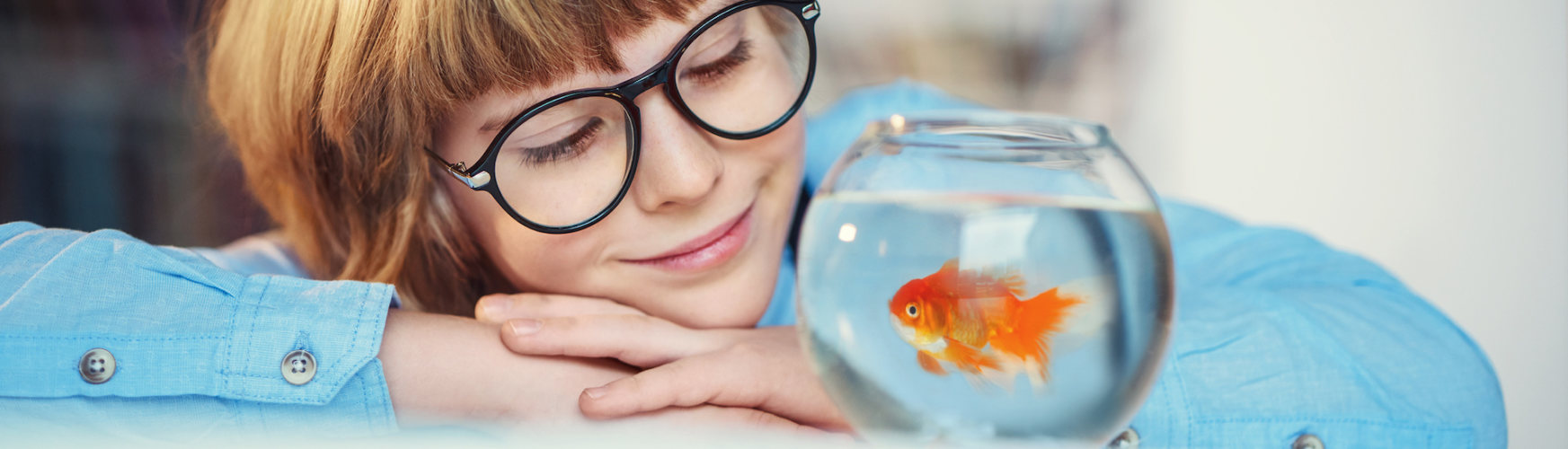 Qué tipo de agua es mejor para mi acuario  (iStock).