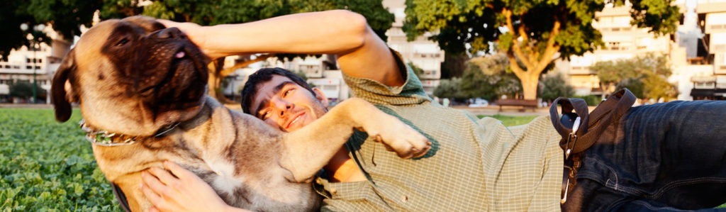Las 7 razas de perro más fuertes (Istock)