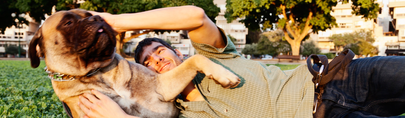 Las 7 razas de perro más fuertes (Istock)