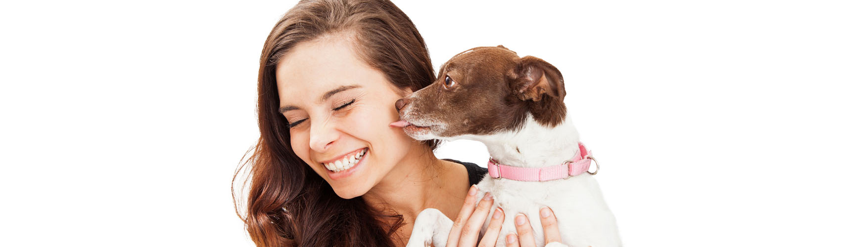 Esta es la razón por la que tu perro te lame la cara (Istock)