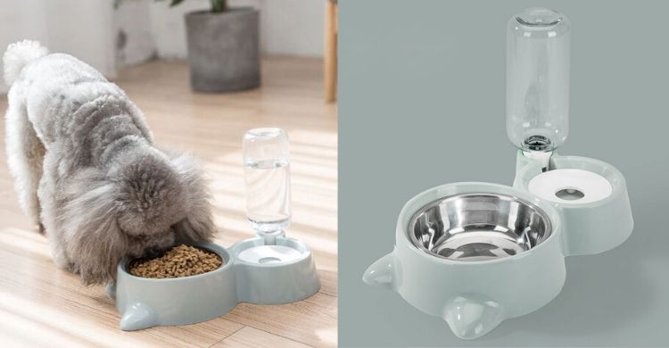 Alimentador para perros (Aliexpress)