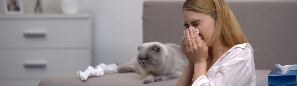 Cómo convivir con una mascota si tienes alergia  (iStock).