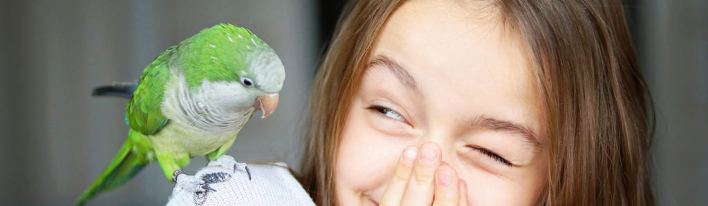 Aquí unos consejos para enseñar a hablar a tu loro con paciencia y constancia (iStock).