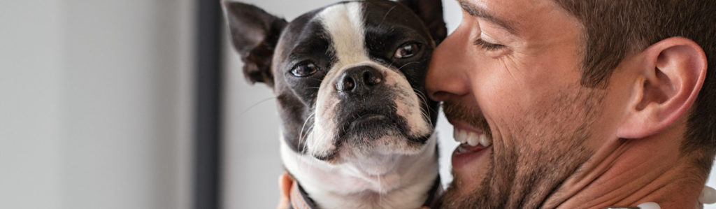 Hay ciertas razas con cierta predisposición a padecer dermatitis atópica canina (iStock).