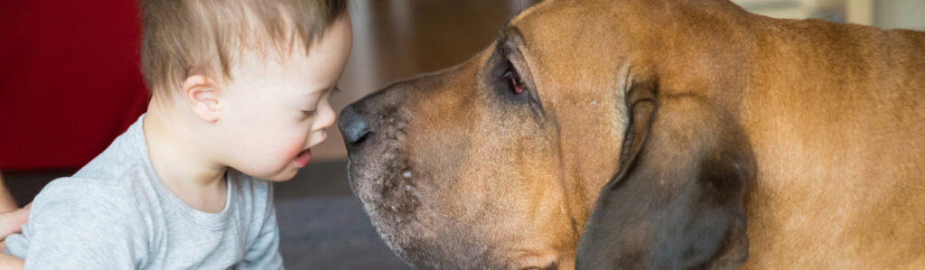 Los perros para terapia son muy efectivos con niños con necesidades especiales (iStock).