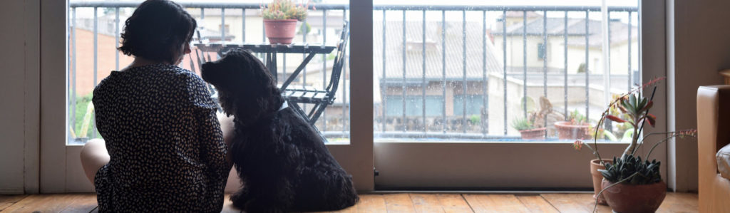 ¿Qué es el estrés de separación en tu perro? (iStock).