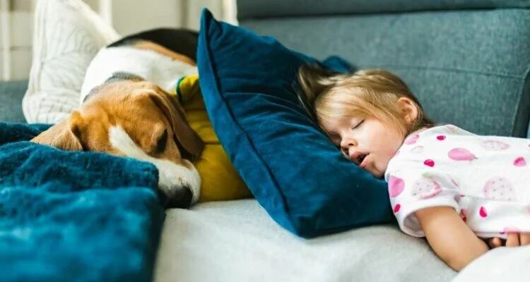 7 características que tienes si duermes con tu mascota, según los psicólogos (Canva)